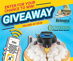 Brinsea - Maxi 24 Incubator Giveaway